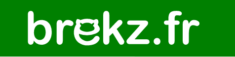 Logo officiel de la marque Brekz