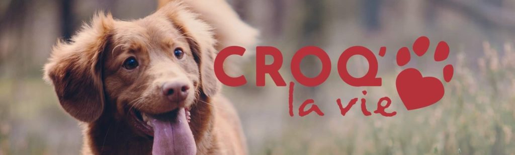 Logo officiel de la marque Croq la vie avec photo d\'un chien