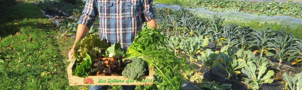 Agriculteur tenant une cagette contenant des légumes dans un potager